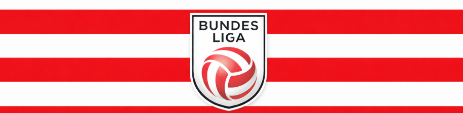 Bundesliga áustria