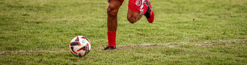 Campeonatos Estaduais